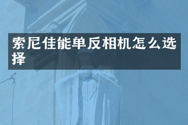 佳能单反相机怎么选择