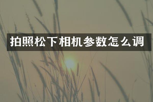 拍照松下相机参数怎么调