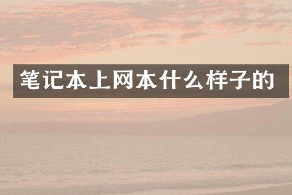 笔记本上网本什么样子的