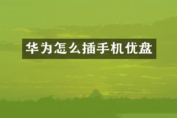 华为怎么插手机优盘