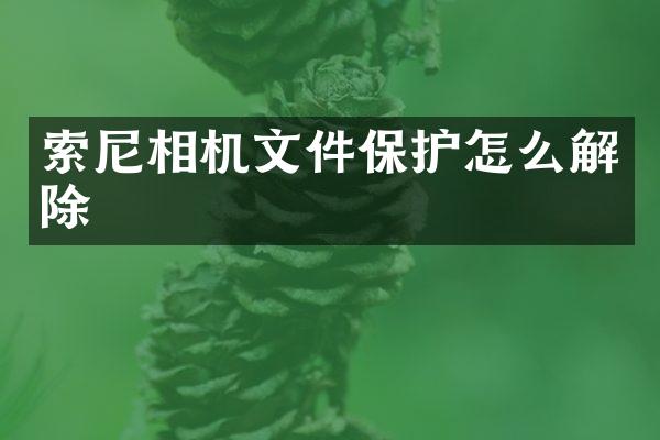 索尼相机文件保护怎么解除