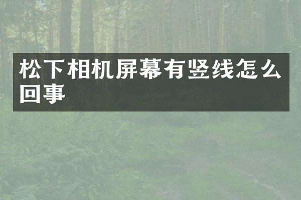 松下相机屏幕有竖线怎么回事