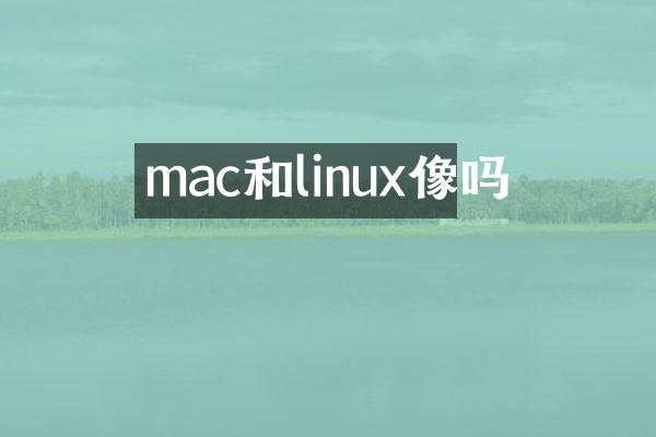 mac和linux像吗