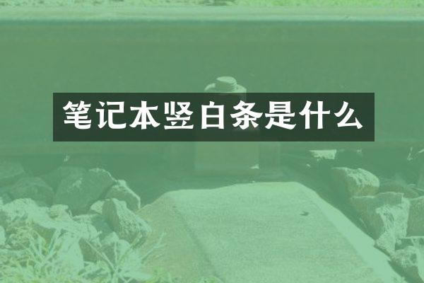 笔记本竖白条是什么