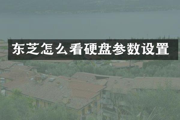 东芝怎么看硬盘参数设置