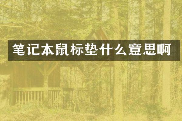 笔记本鼠标垫什么意思啊