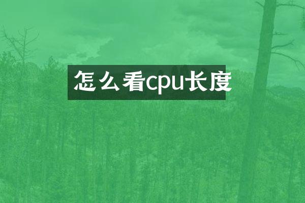 怎么看cpu长度