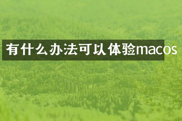有什么办法可以体验macos