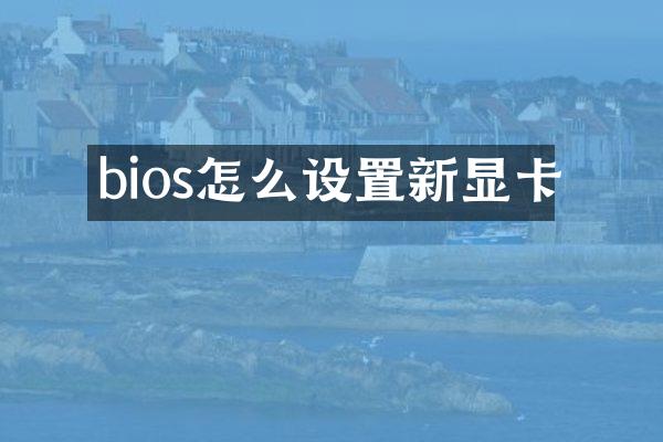 bios怎么设置新显卡