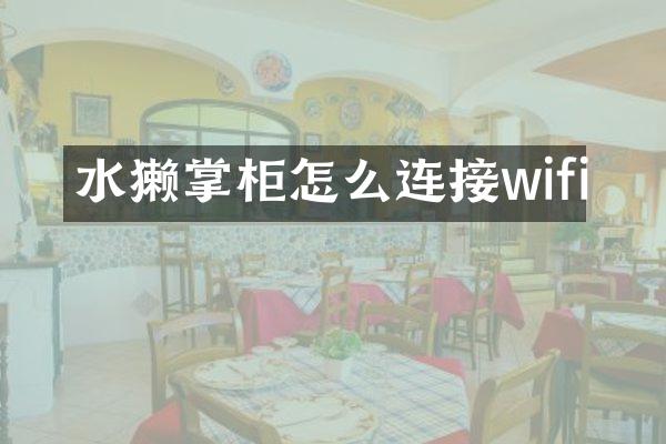 水獭掌柜怎么连接wifi