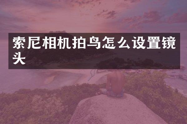 索尼相机拍鸟怎么设置镜头