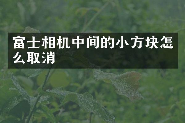富士相机中间的小方块怎么取消