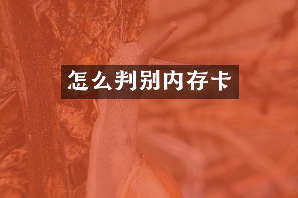 怎么判别内存卡