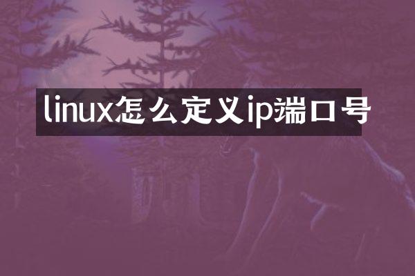 linux怎么定义ip端口号