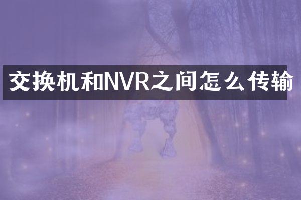 交换机和NVR之间怎么传输
