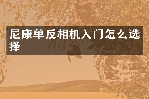 尼康单反相机入门怎么选择