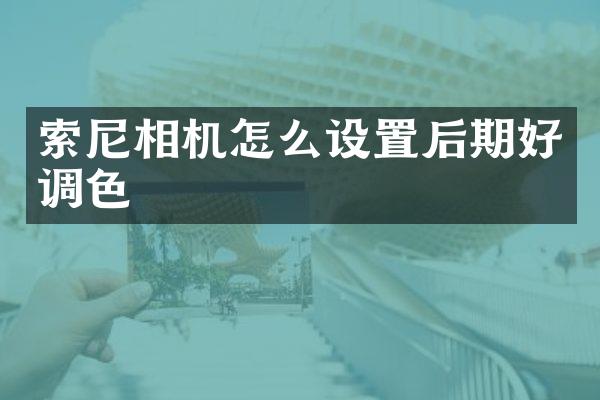 索尼相机怎么设置后期好调色
