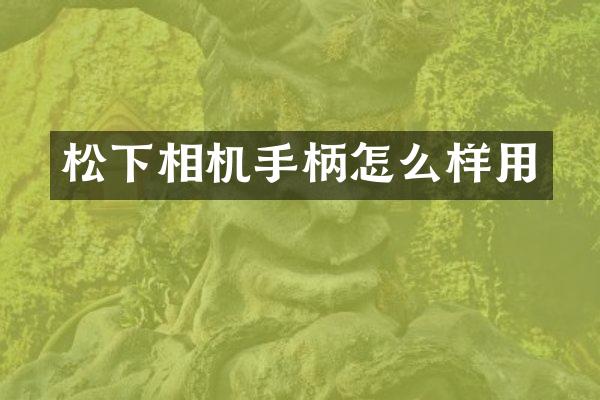 松下相机手柄怎么样用