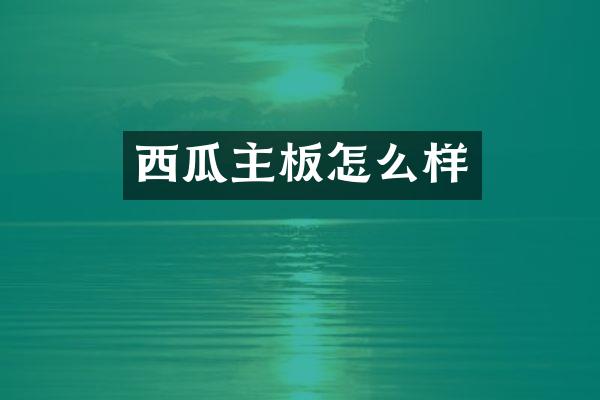 西瓜主板怎么样