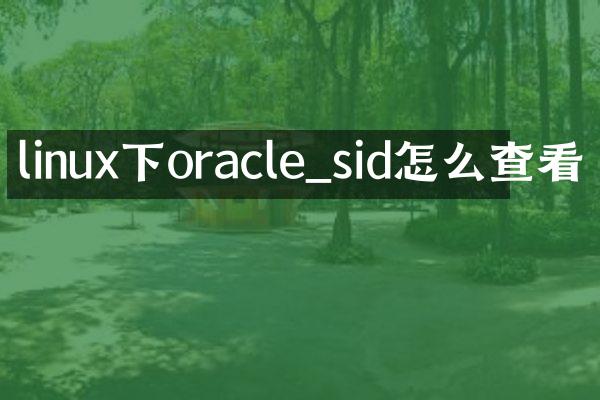 linux下oracle_sid怎么查看