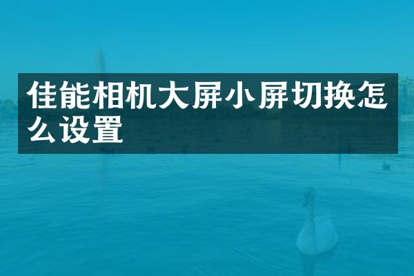 佳能相机大屏小屏切换怎么设置