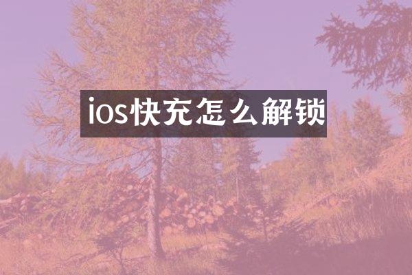ios快充怎么解锁