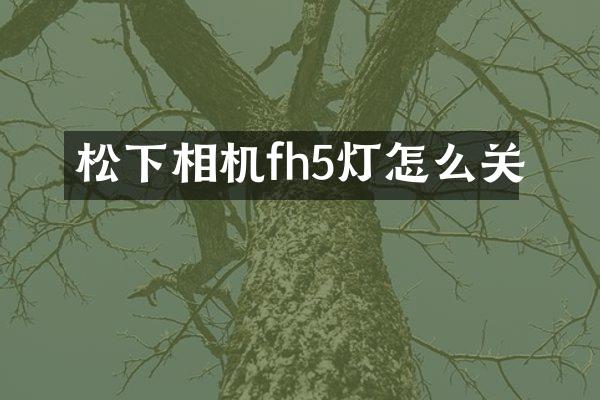 松下相机fh5灯怎么关