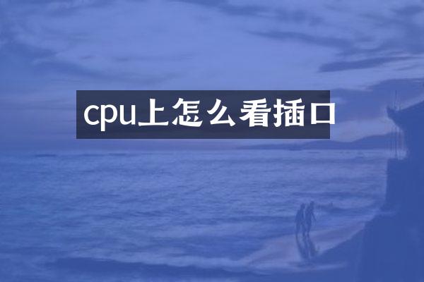 cpu上怎么看插口