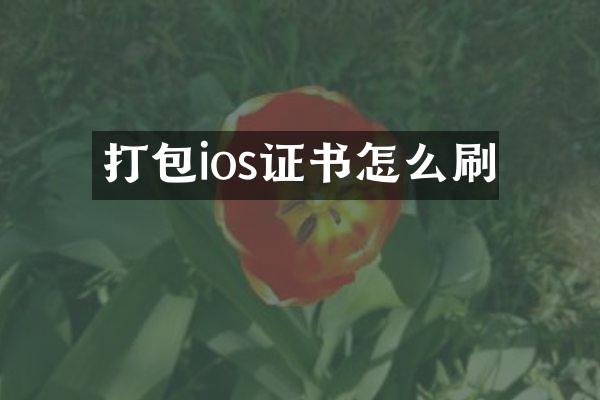 打包ios证书怎么刷