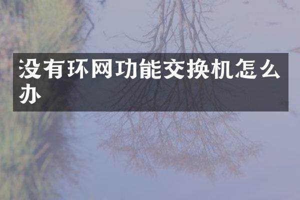 没有环网功能交换机怎么办
