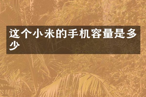 这个小米的手机容量是多少
