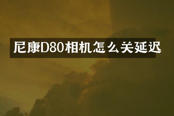 尼康D80相机怎么关延迟