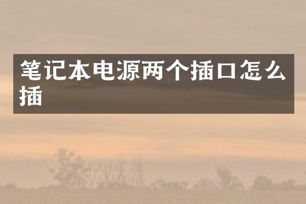 笔记本电源两个插口怎么插