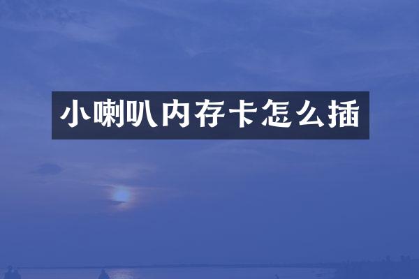 小喇叭内存卡怎么插