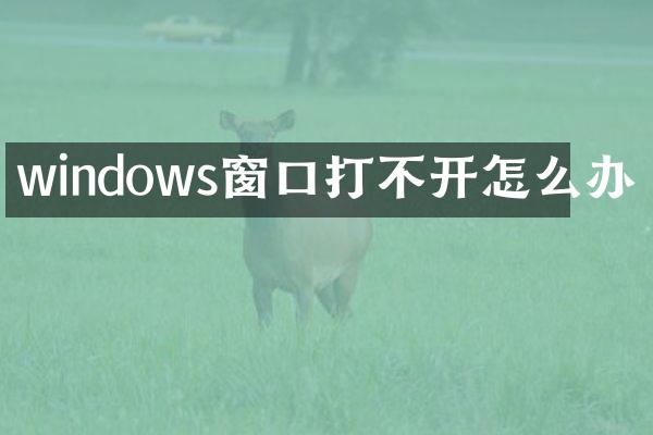 windows窗口打不开怎么办