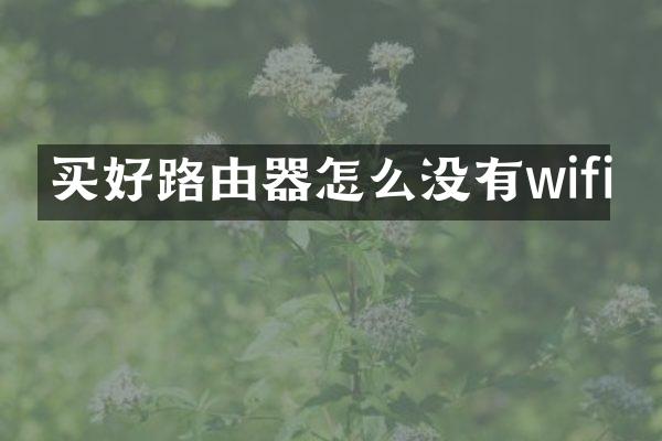 买好路由器怎么没有wifi