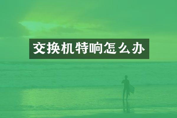 交换机特响怎么办