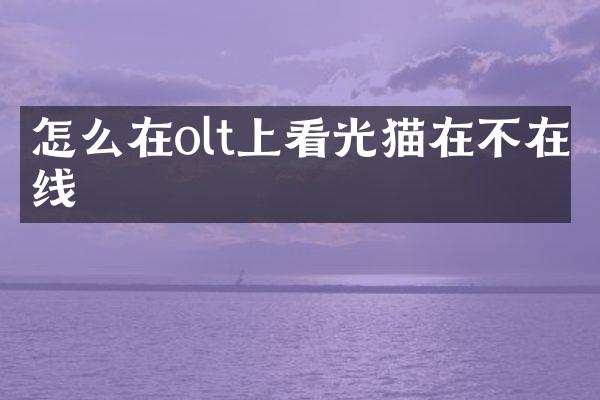 怎么在olt上看光猫在不在线