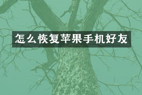 怎么恢复苹果手机好友
