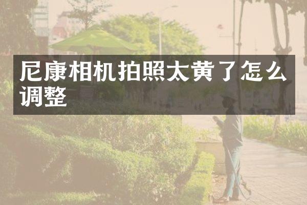 尼康相机拍照太黄了怎么调整