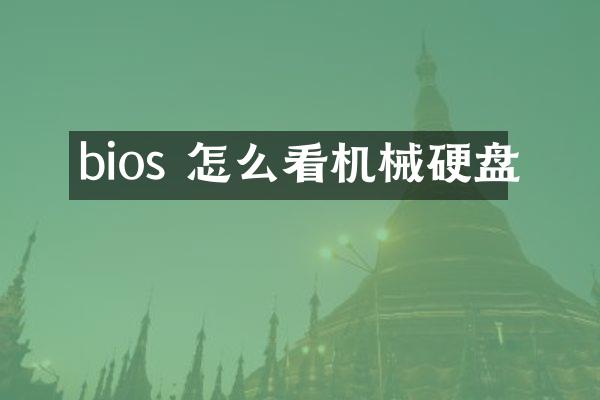bios 怎么看机械硬盘