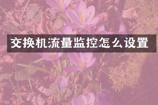 交换机流量监控怎么设置