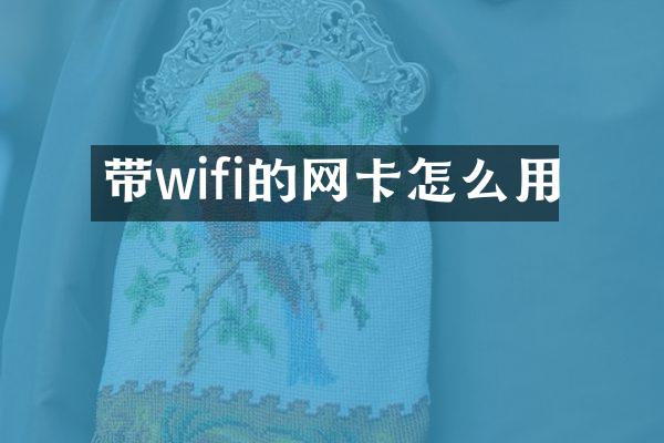 带wifi的网卡怎么用