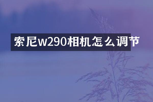 索尼w290相机怎么调节