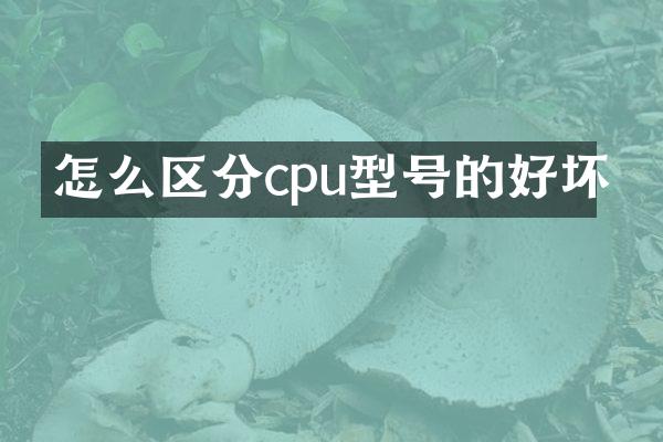 怎么区分cpu型号的好坏