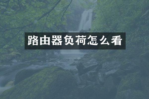 路由器负荷怎么看
