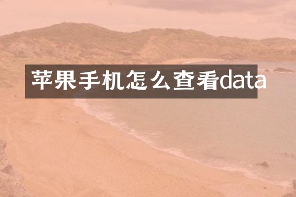 苹果手机怎么查看data