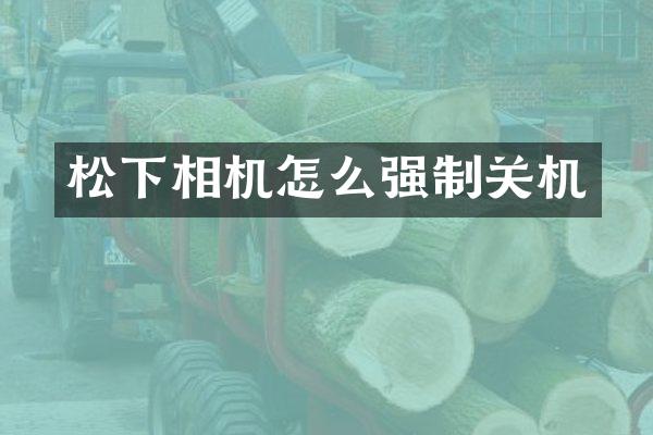 松下相机怎么强制关机