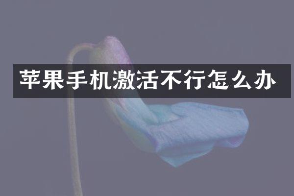 苹果手机激活不行怎么办