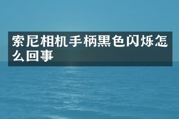 索尼相机手柄黑色闪烁怎么回事